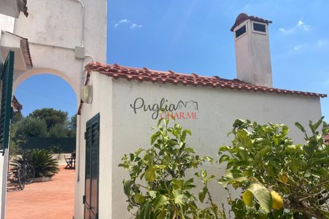 Landejendom i Ostuni, Brindisi, Ostuni - € 275.000 | Ref: 292 - foto 34