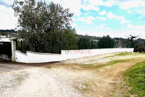 Landejendom i Ostuni, Brindisi, Ostuni - € 275.000 | Ref: 292 - foto 6