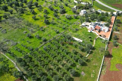 Landejendom i Ostuni, Brindisi, Ostuni - € 275.000 | Ref: 292 - foto 32