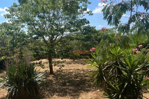 Landejendom i Ostuni, Brindisi, Ostuni - € 275.000 | Ref: 292 - foto 50