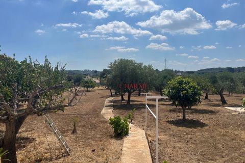 Landejendom i Ostuni, Brindisi, Ostuni - € 275.000 | Ref: 292 - foto 45