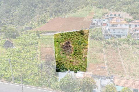 Helårsgrund i Santana, Madeira, Santana - € 61.500 | Ref: RM01 - foto 8