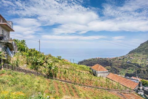 Helårsgrund i Santana, Madeira, Santana - € 61.500 | Ref: RM01 - foto 11