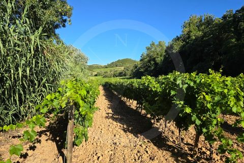 Helårsgrund i Matacaes, Lisbon, Matacaes - € 65.000 | Ref: WH21090-125 - foto 1