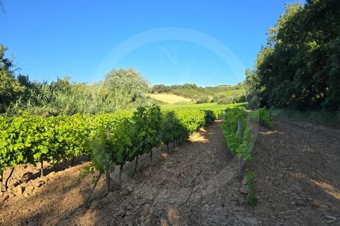 Helårsgrund i Matacaes, Lisbon, Matacaes - € 65.000 | Ref: WH21090-125 - foto 2