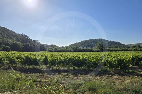 Helårsgrund i Matacaes, Lisbon, Matacaes - € 65.000 | Ref: WH21090-125 - foto 6