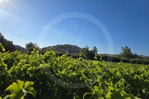 Helårsgrund i Matacaes, Lisbon, Matacaes - € 65.000 | Ref: WH21090-125 - foto 7