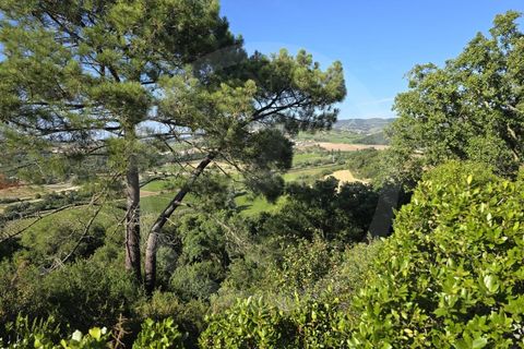 Helårsgrund i Matacaes, Lisbon, Matacaes - € 65.000 | Ref: WH21090-125 - foto 8