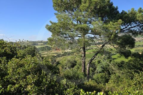 Helårsgrund i Matacaes, Lisbon, Matacaes - € 65.000 | Ref: WH21090-125 - foto 11