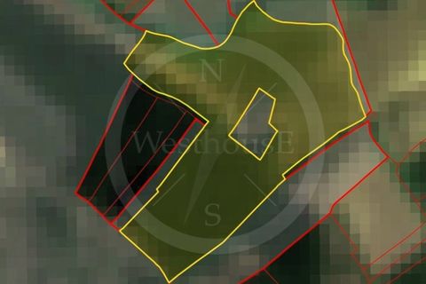 Helårsgrund i Matacaes, Lisbon, Matacaes - € 65.000 | Ref: WH21090-125 - foto 13