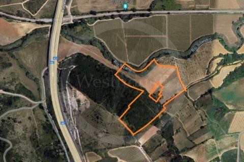 Helårsgrund i Matacaes, Lisbon, Matacaes - € 65.000 | Ref: WH21090-125 - foto 15