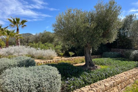 Landejendom i Manacor, Mallorca, Manacor - € 1.900.000 | Ref: 3596U - foto 10