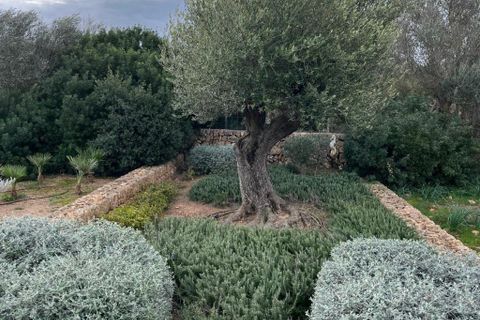 Landejendom i Manacor, Mallorca, Manacor - € 1.900.000 | Ref: 3596U - foto 16