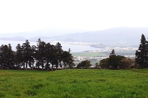 Helårsgrund i Ponta Delgada, Sao Miguel, Ponta Delgada - € 1.250.000 | Ref: MPDL5051 - foto 4