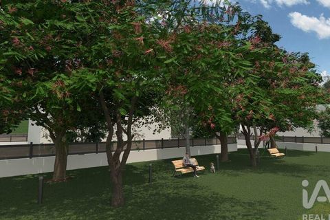 Terra a Rio Maior, Santarem, Rio Maior - € 350.000 | Ref: 99288 - foto 4