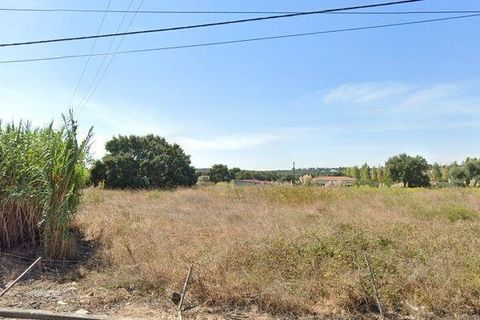 Terra a Rio Maior, Santarem, Rio Maior - € 350.000 | Ref: 99288 - foto 9
