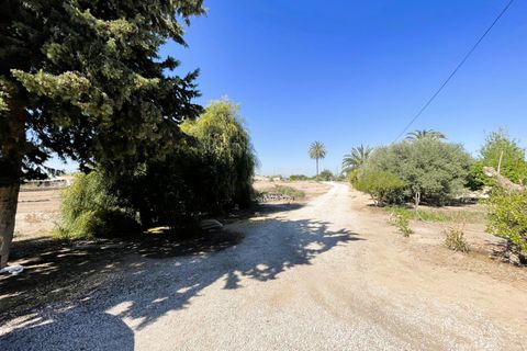 Masia a Elche, Alicante, Elche - € 285.000 | Ref: SP4221 - foto 17