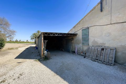 Masia a Elche, Alicante, Elche - € 285.000 | Ref: SP4221 - foto 18