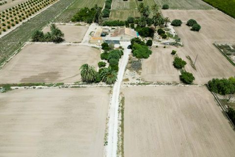 Masia a Elche, Alicante, Elche - € 285.000 | Ref: SP4221 - foto 21