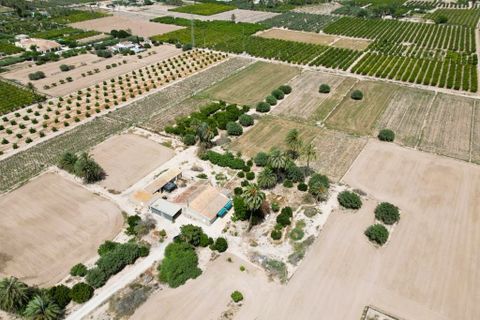 Masia a Elche, Alicante, Elche - € 285.000 | Ref: SP4221 - foto 22