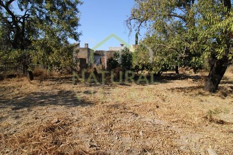 Helårsgrund i Estoi, Faro, Estoi - € 195.000 | Ref: TER_2673_VEND - foto 2