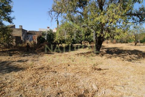 Helårsgrund i Estoi, Faro, Estoi - € 195.000 | Ref: TER_2673_VEND - foto 1