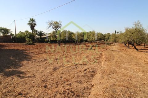 Helårsgrund i Estoi, Faro, Estoi - € 195.000 | Ref: TER_2673_VEND - foto 4