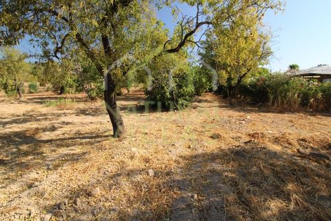 Helårsgrund i Estoi, Faro, Estoi - € 195.000 | Ref: TER_2673_VEND - foto 5