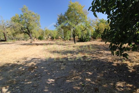 Helårsgrund i Estoi, Faro, Estoi - € 195.000 | Ref: TER_2673_VEND - foto 6