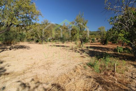 Helårsgrund i Estoi, Faro, Estoi - € 195.000 | Ref: TER_2673_VEND - foto 7
