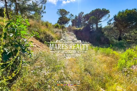 Helårsgrund i Lloret De Mar, Gerona, Lloret De Mar - € 50.000 | Ref: PAR0098 - foto 4