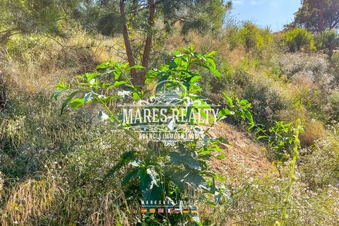 Helårsgrund i Lloret De Mar, Gerona, Lloret De Mar - € 50.000 | Ref: PAR0098 - foto 5