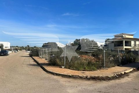 Grundstück in Sa Rapita, Mallorca - Foto 2