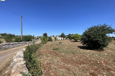 Landejendom i Ostuni, Brindisi, Ostuni - € 130.000 | Ref: 122 - foto 20