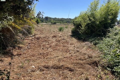Landejendom i Ostuni, Brindisi, Ostuni - € 130.000 | Ref: 122 - foto 21