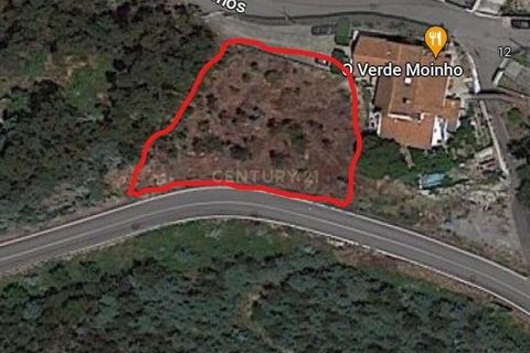 Helårsgrund i Coimbra, Coimbra, Coimbra - € 115.000 | Ref: C0462-00158 - foto 6