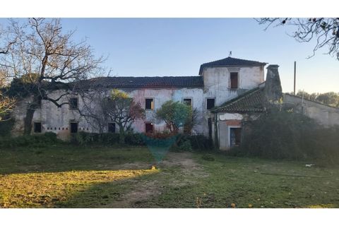 Farm i Assafarge e Antanhol, Coimbra, Assafarge e Antanhol - € 228.000 | Ref: QNT_75V_MV - foto 1