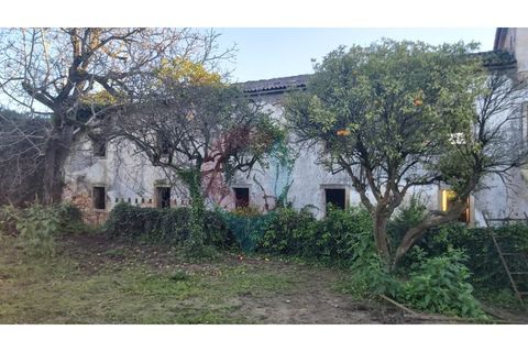 Farm i Assafarge e Antanhol, Coimbra, Assafarge e Antanhol - € 228.000 | Ref: QNT_75V_MV - foto 2