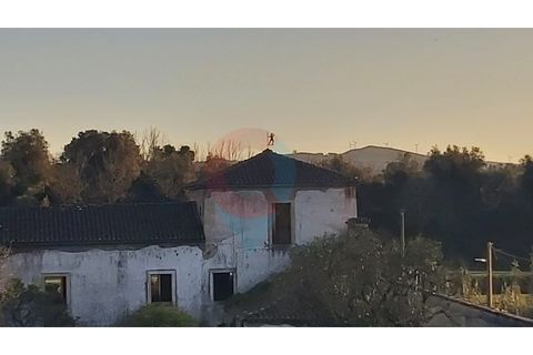 Farm i Assafarge e Antanhol, Coimbra, Assafarge e Antanhol - € 228.000 | Ref: QNT_75V_MV - foto 3