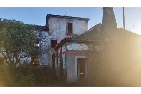 Farm i Assafarge e Antanhol, Coimbra, Assafarge e Antanhol - € 228.000 | Ref: QNT_75V_MV - foto 6