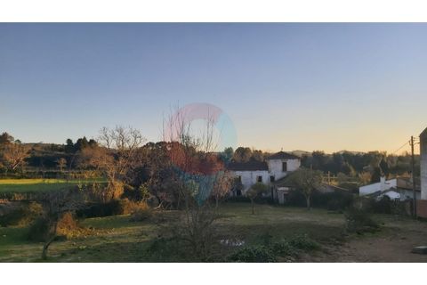 Farm i Assafarge e Antanhol, Coimbra, Assafarge e Antanhol - € 228.000 | Ref: QNT_75V_MV - foto 7