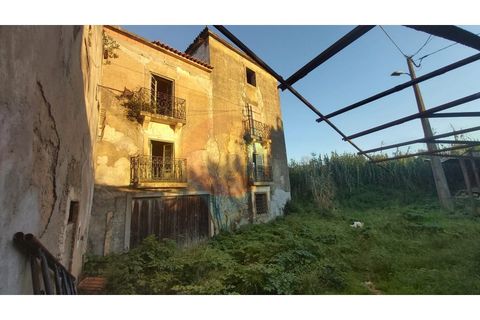 Farm i Assafarge e Antanhol, Coimbra, Assafarge e Antanhol - € 228.000 | Ref: QNT_75V_MV - foto 10