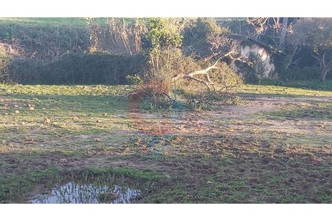 Farm i Assafarge e Antanhol, Coimbra, Assafarge e Antanhol - € 228.000 | Ref: QNT_75V_MV - foto 12