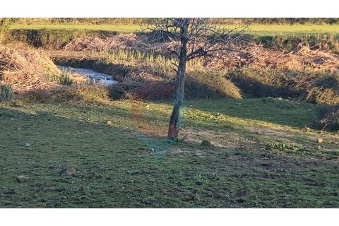 Farm i Assafarge e Antanhol, Coimbra, Assafarge e Antanhol - € 228.000 | Ref: QNT_75V_MV - foto 13