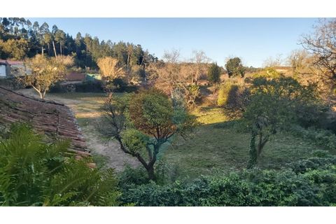 Farm i Assafarge e Antanhol, Coimbra, Assafarge e Antanhol - € 228.000 | Ref: QNT_75V_MV - foto 14