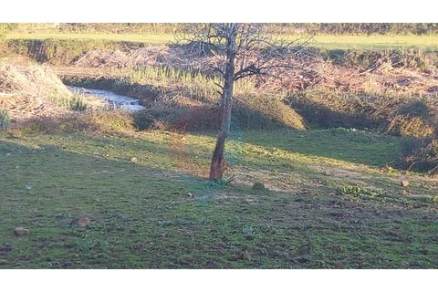 Farm i Assafarge e Antanhol, Coimbra, Assafarge e Antanhol - € 228.000 | Ref: QNT_75V_MV - foto 16