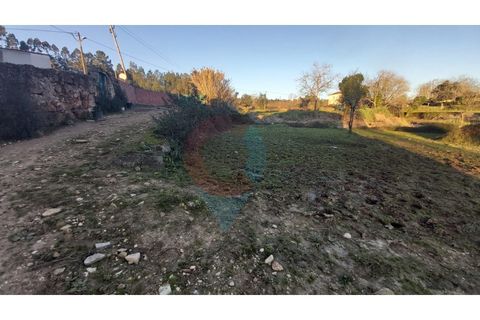 Farm i Assafarge e Antanhol, Coimbra, Assafarge e Antanhol - € 228.000 | Ref: QNT_75V_MV - foto 17