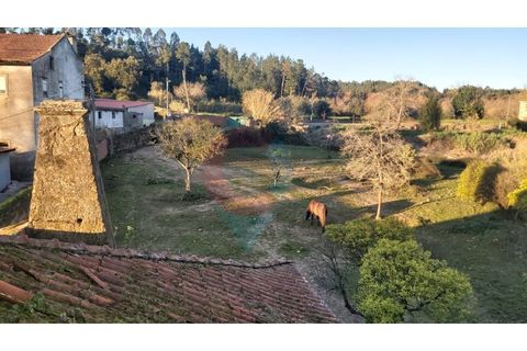 Farm i Assafarge e Antanhol, Coimbra, Assafarge e Antanhol - € 228.000 | Ref: QNT_75V_MV - foto 18