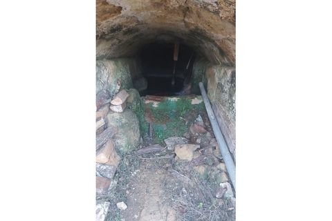 Farm i Assafarge e Antanhol, Coimbra, Assafarge e Antanhol - € 228.000 | Ref: QNT_75V_MV - foto 20