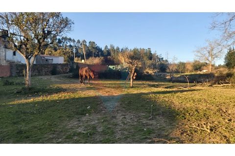 Farm i Assafarge e Antanhol, Coimbra, Assafarge e Antanhol - € 228.000 | Ref: QNT_75V_MV - foto 24